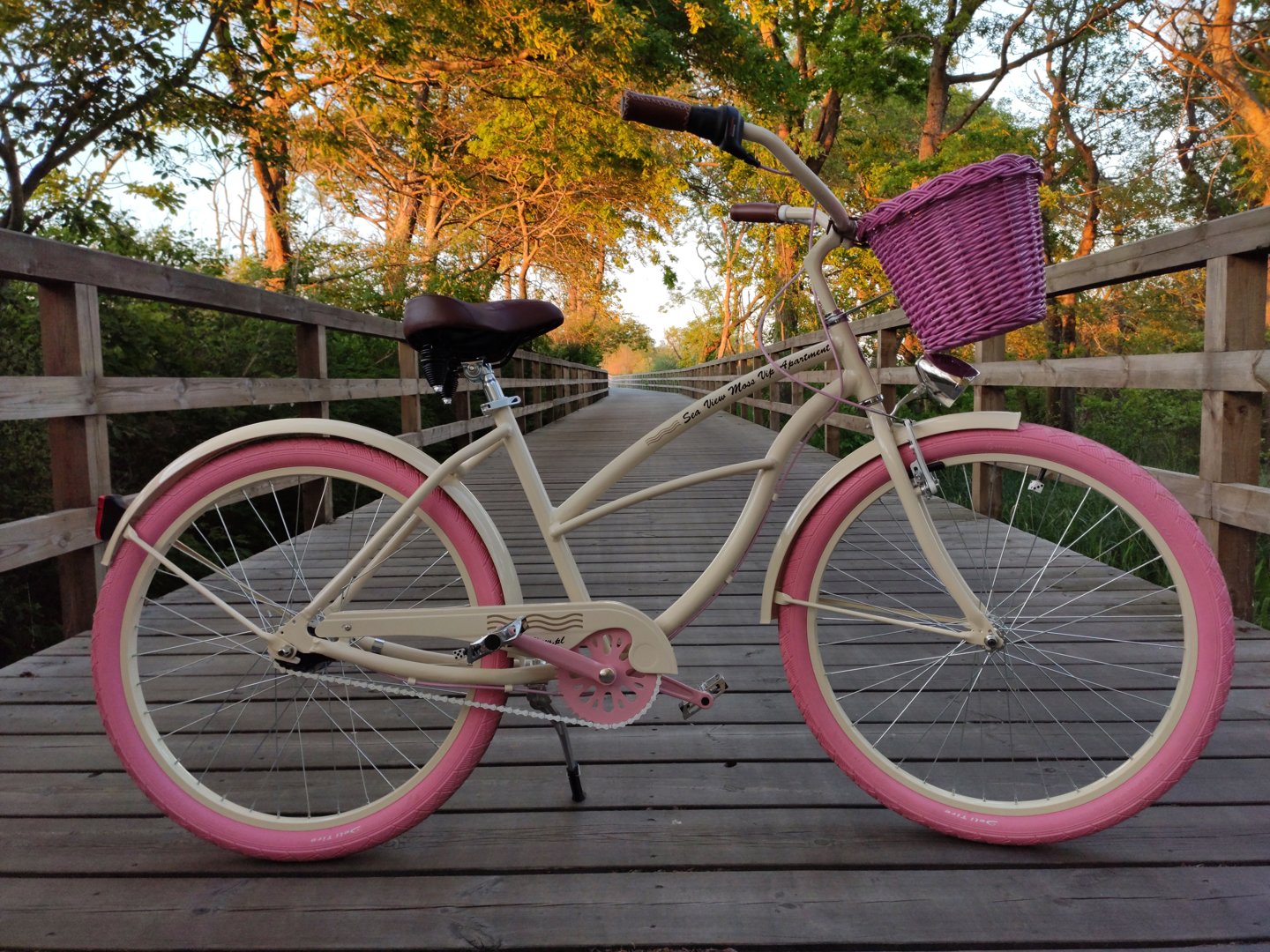 Damski Rower RoyalBike