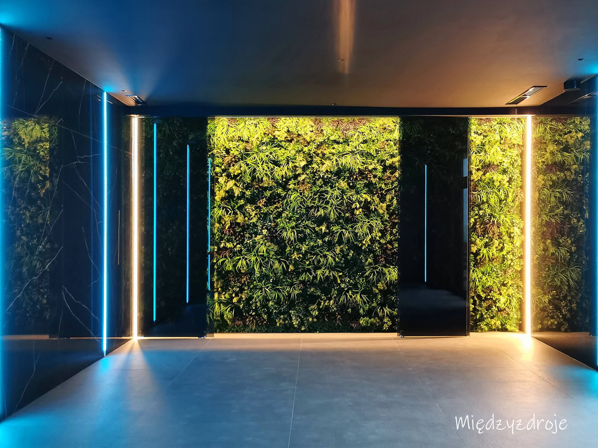 Moderne Innenrauminstallation mit begrünten Wänden und blauen sowie warmen Lichtstreifen