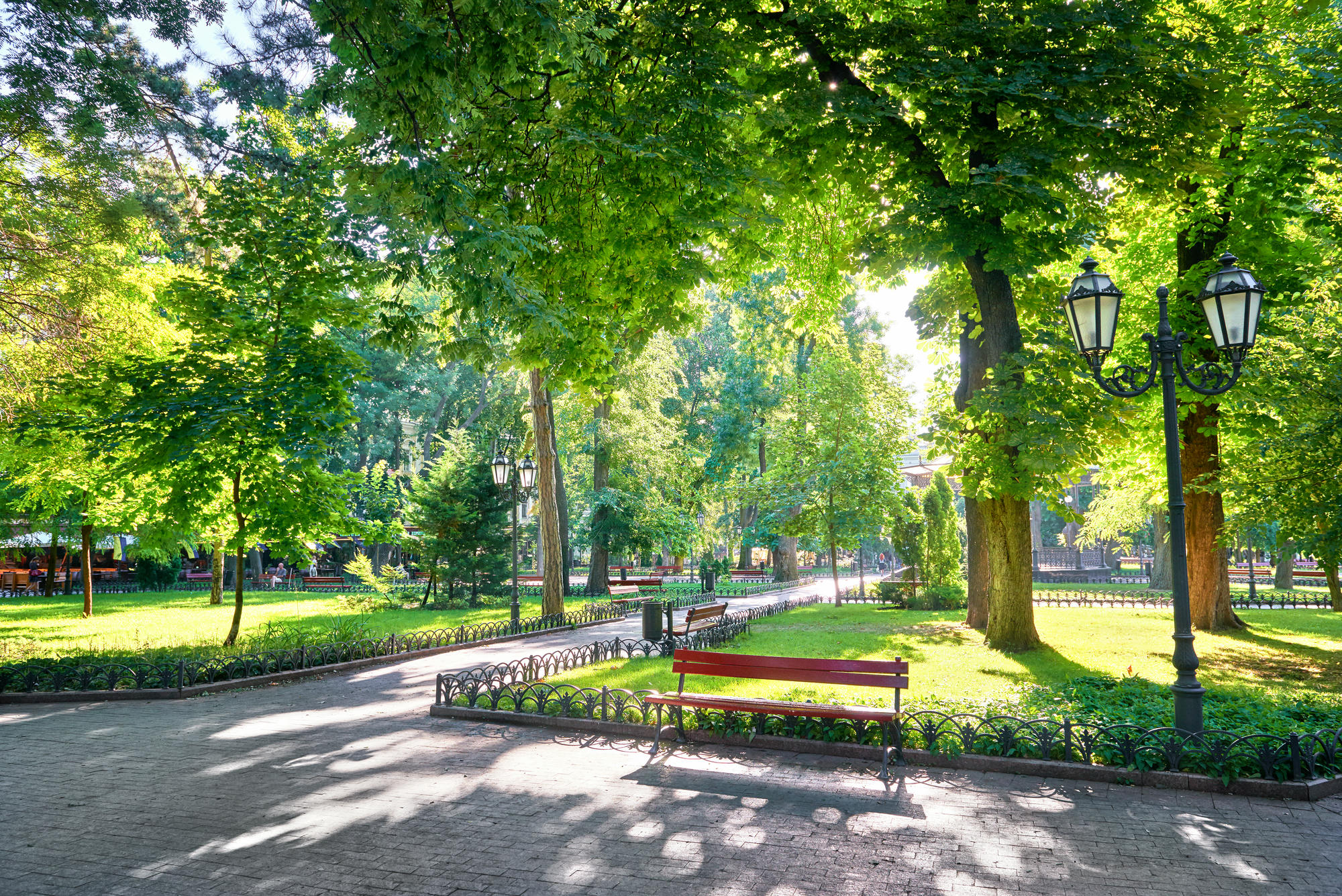 Park Zdrojowy im. Fryderyka Chopina w Międzyzdrojach