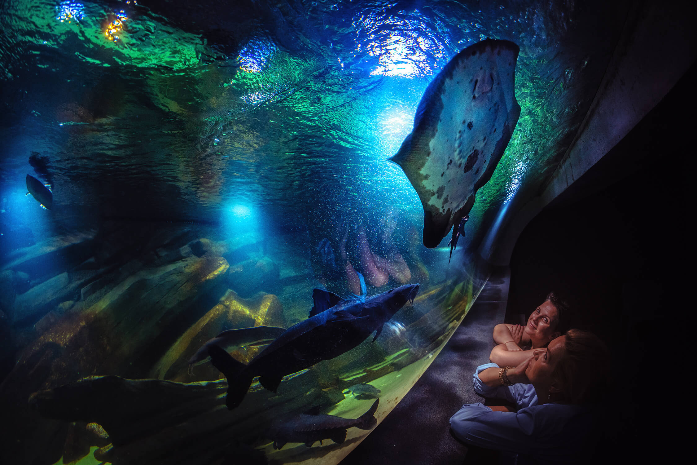 Oceanarium w Międzyzdrojach tuż obok Sea View Smart & Garden VIP Apartment